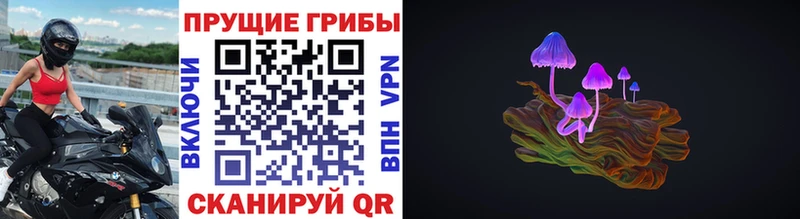 Галлюциногенные грибы Psilocybe  Абинск 